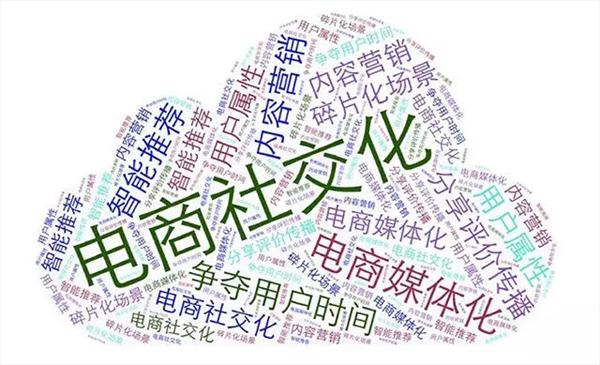 作为主流的社交电商，未来如何发展呐？